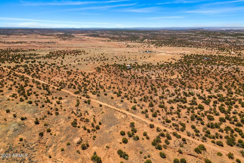 3733DelContento-Snowflake-AZ-15