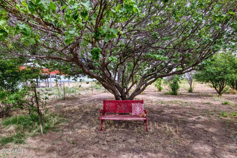 100012-11870 North Fort Grant Road