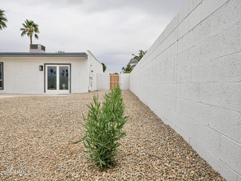 Backyard Side Gate East