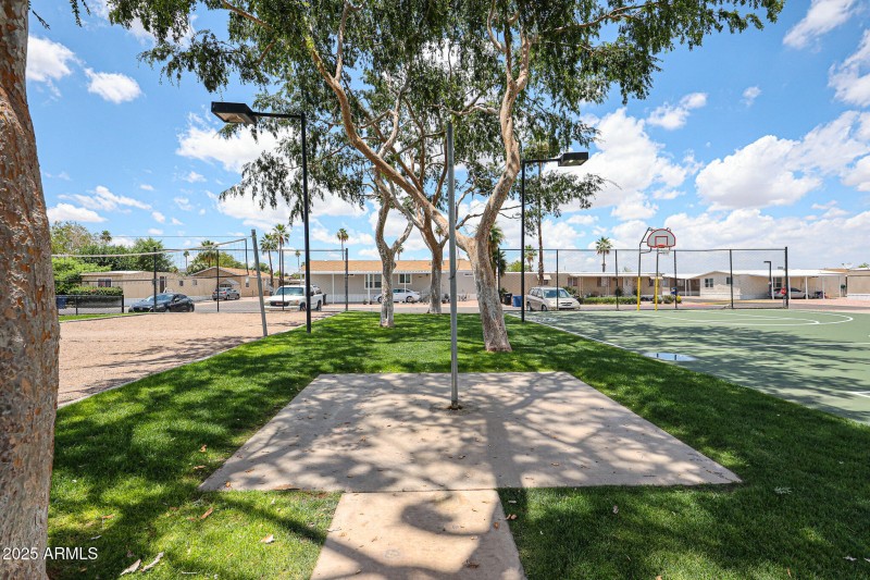 Community Tetherball