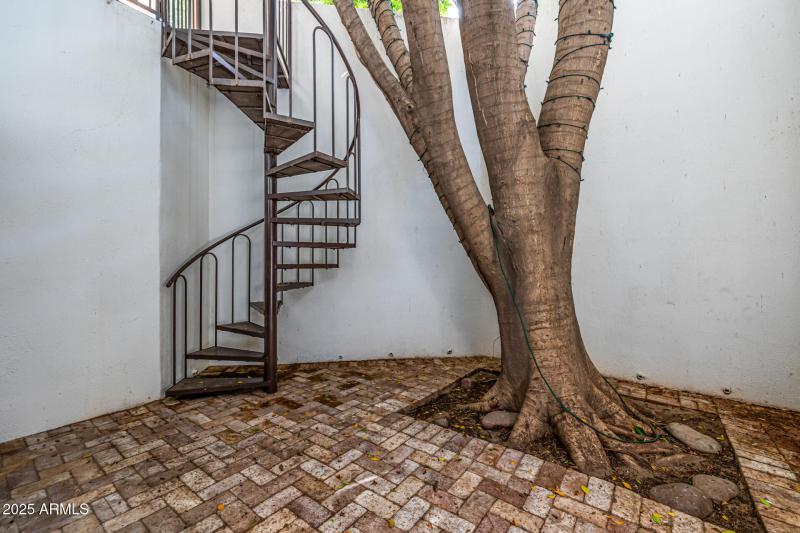 Patio off basement area