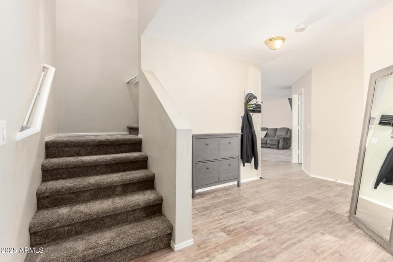 14 - Santa Cruz 3049