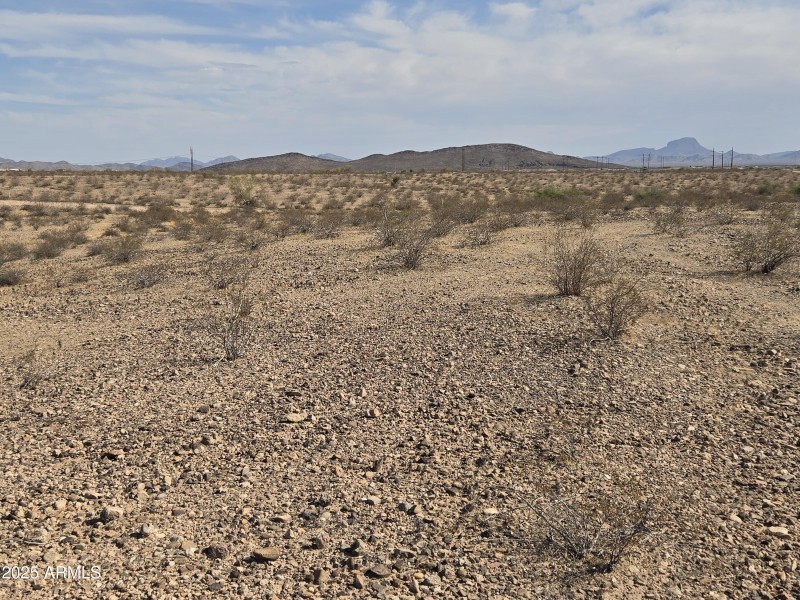 WhatsApp Image 2025-06-06 at 17.59.27_84