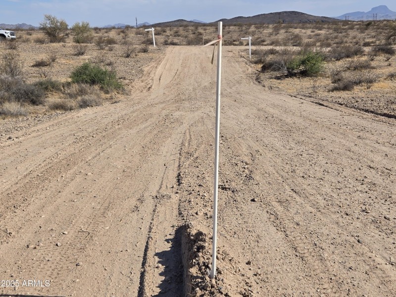 WhatsApp Image 2025-06-06 at 17.59.46_83