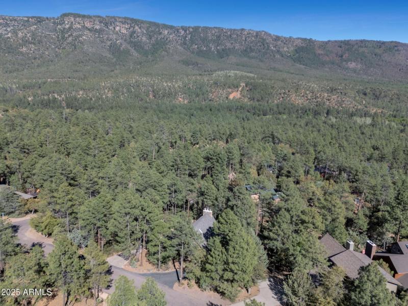 55-web-or-mls-TimberCreekImagery-43