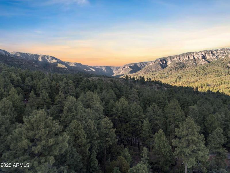 72-web-or-mls-TimberCreekImageryTW-13