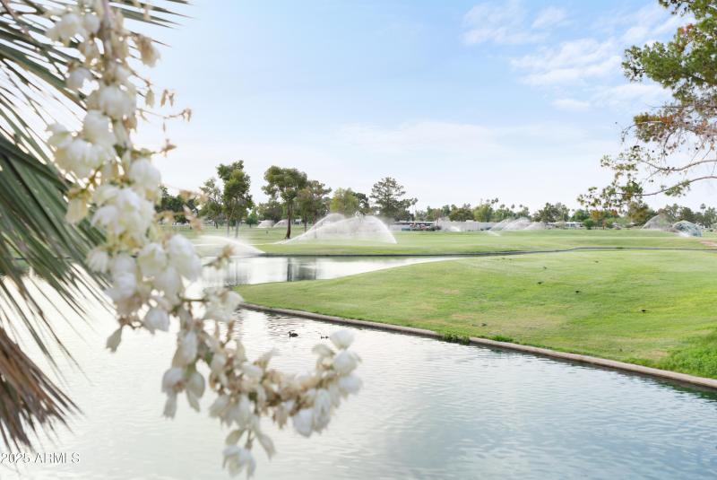 Beautiful McCormick Ranch