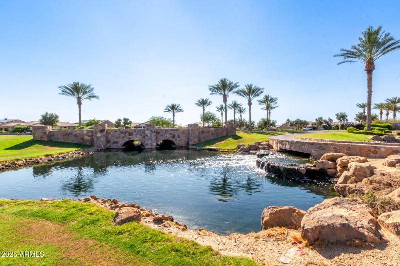 43 - Desert Tea 35990