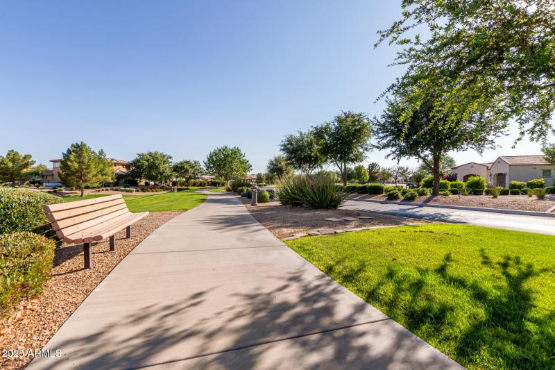 47 - Desert Tea 35990