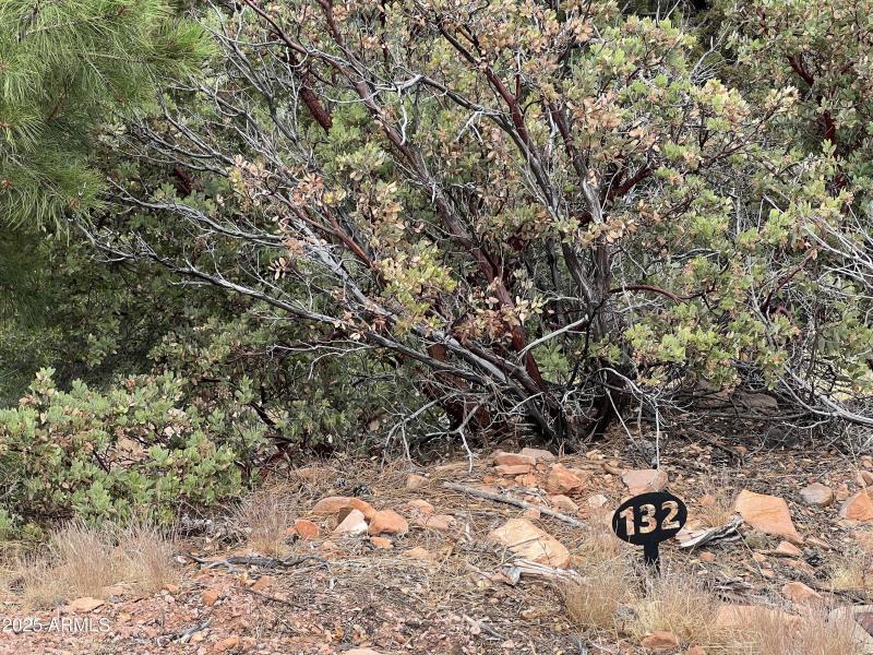 132 Knob Hill - lot number