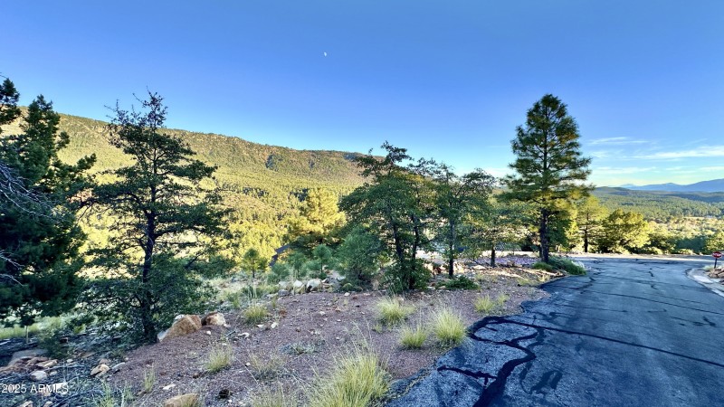 132 Knob Hill - street front looking S