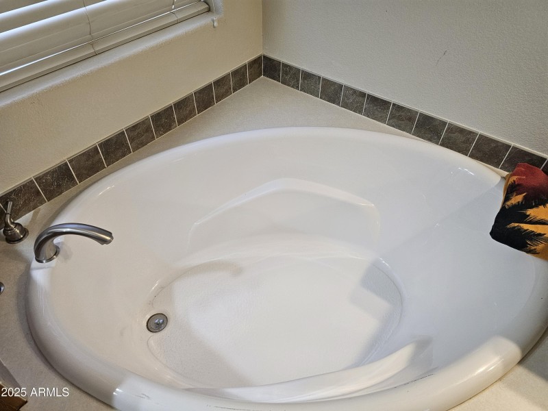 Main Bath Tub