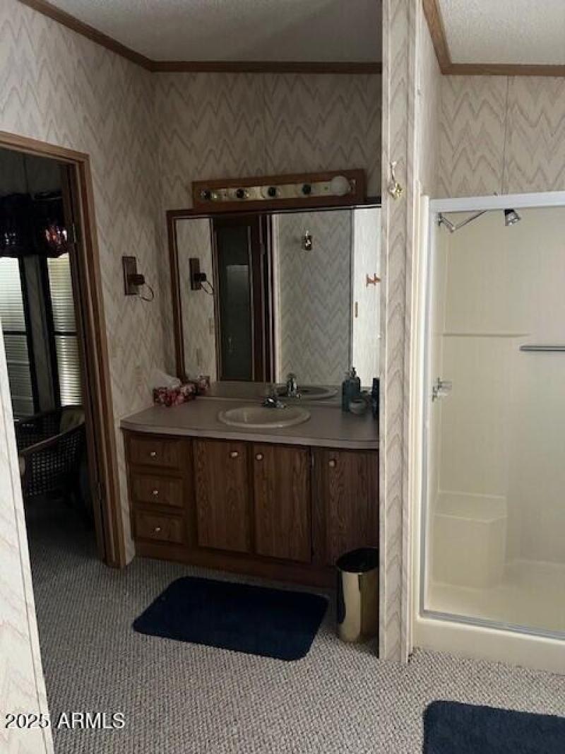 Guest bath vanity and shower