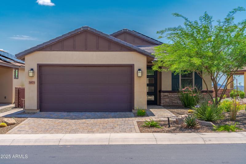 3875 Goldmine WR00037