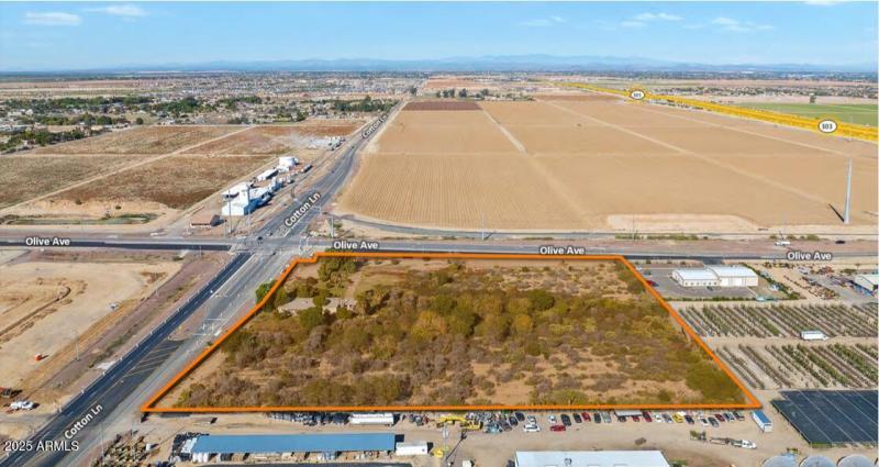 Cotton & Olive Aerial I