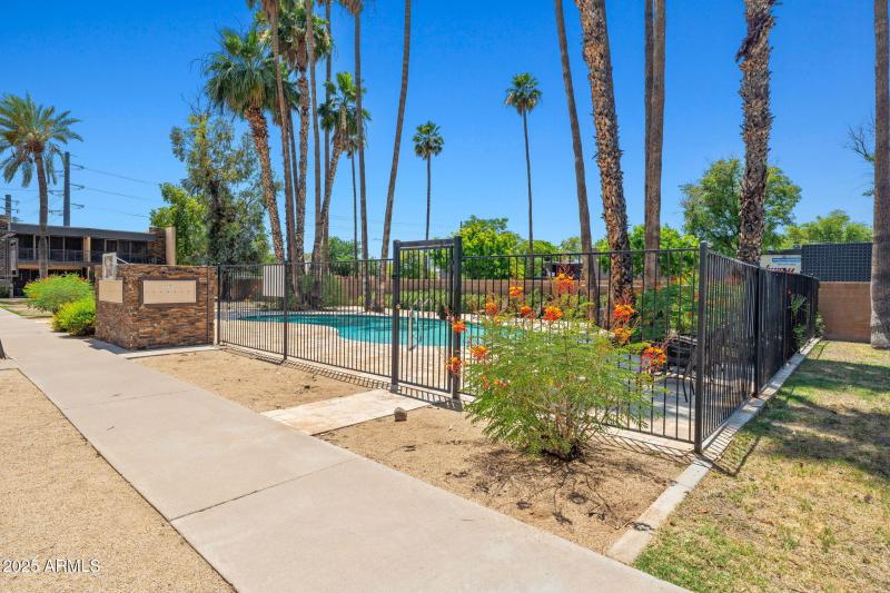 Community pool / courtyard