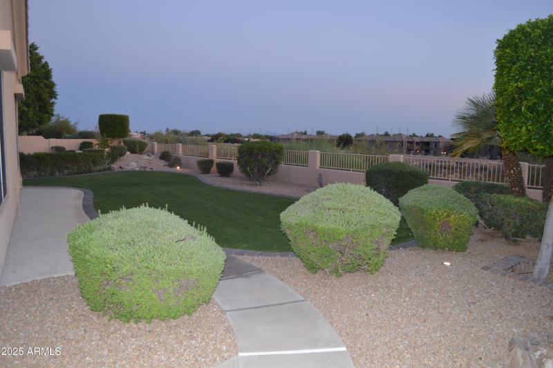 Backyard Dusk DSC_0159