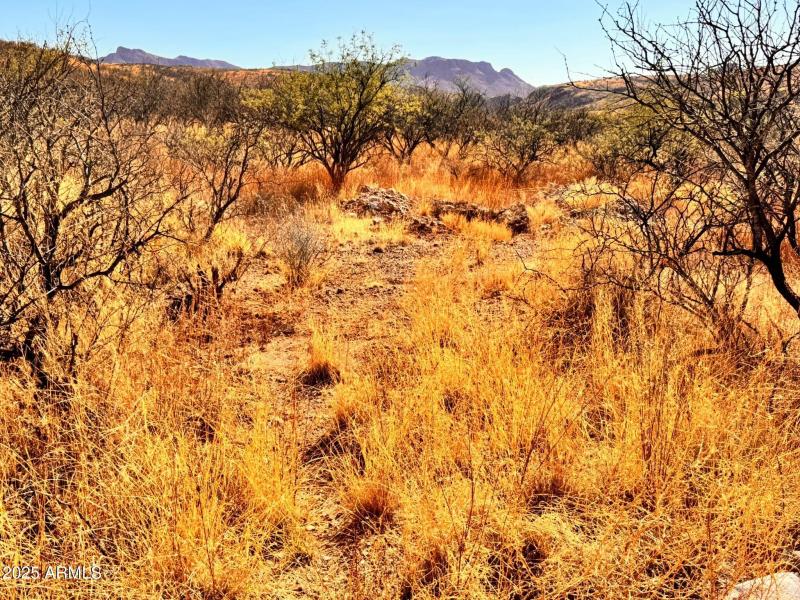 edf5d1f7-47b4-456f-a964-78dc2dc2f9da