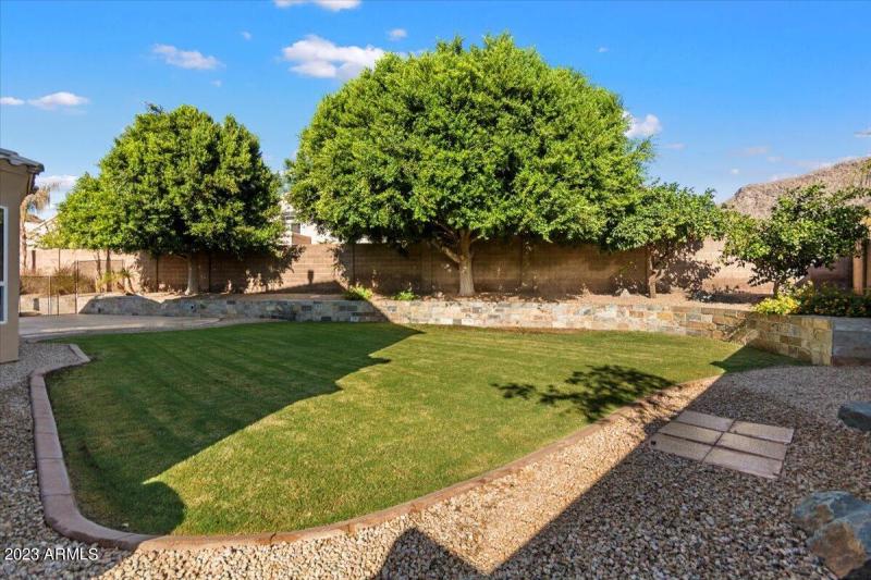 Backyard Grass_Trees_Views