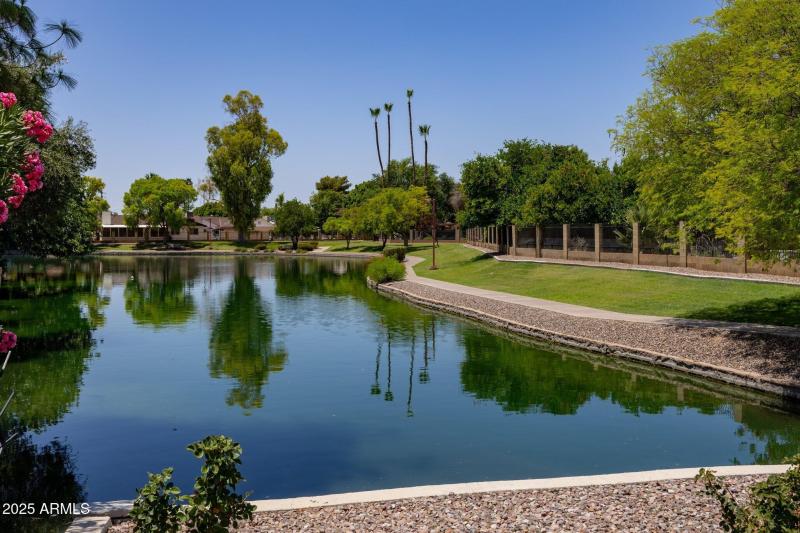 Dobson Ranch (3).jpg-SMALL