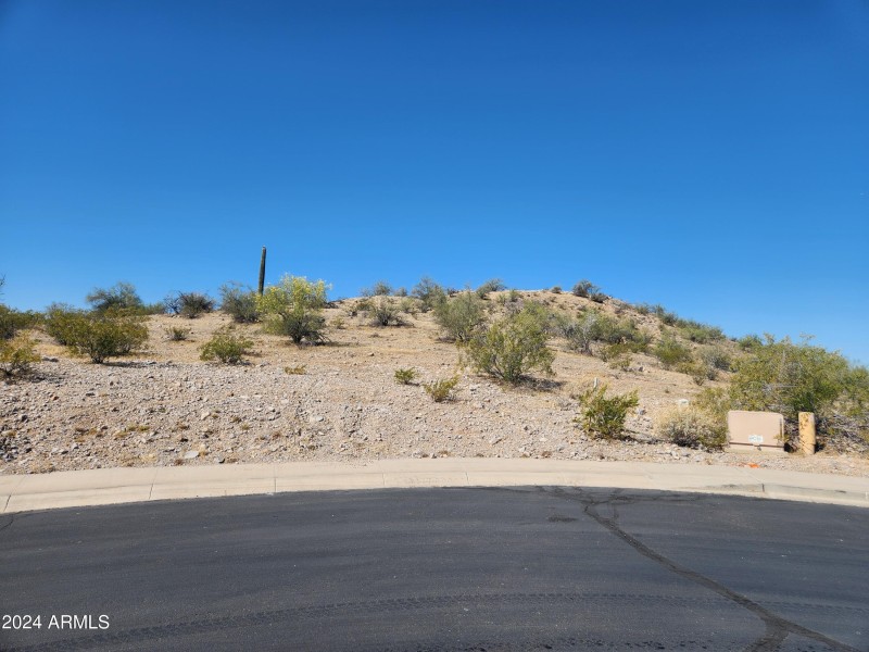 Lot View from Street