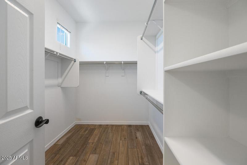 hj-az-phx-cantamia-duet-lily-lot-30135-d