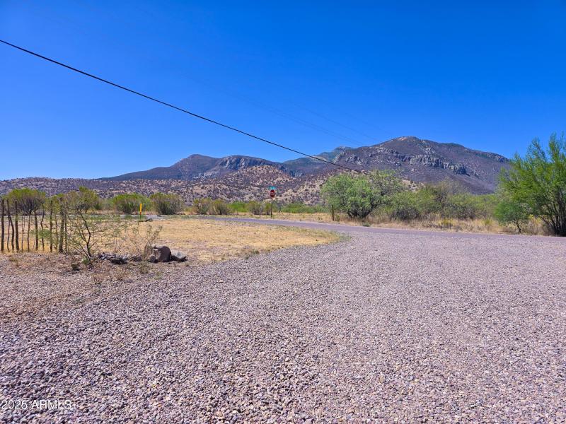 The Huachuca's in the summer!