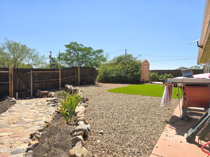 The iris's bloom in the spring