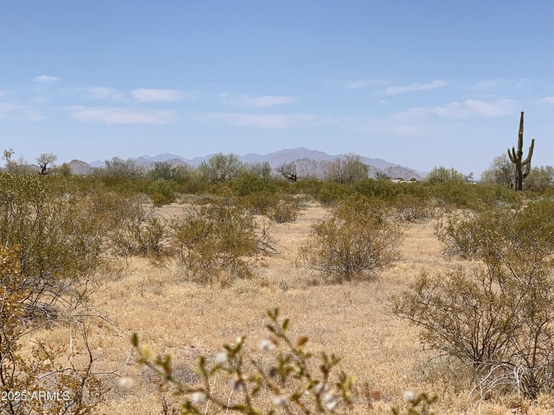 Living the Country Life!