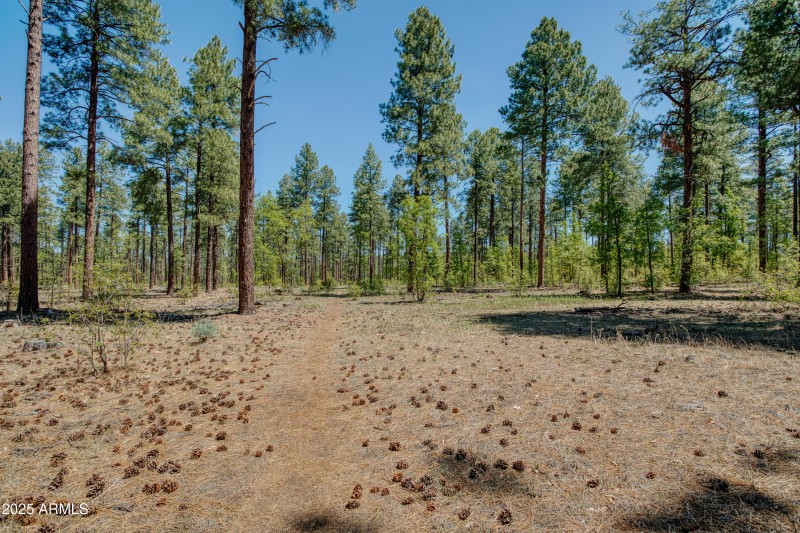 USFS Trails
