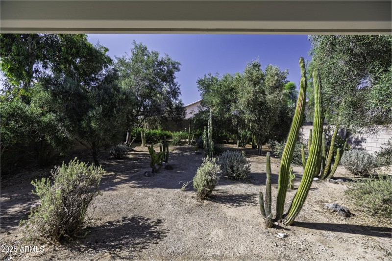 4530 E Desert Wind Dr-29