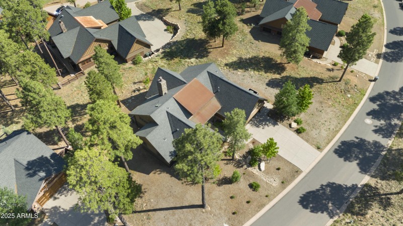 1-print-DJI_20250611160027_0945_D