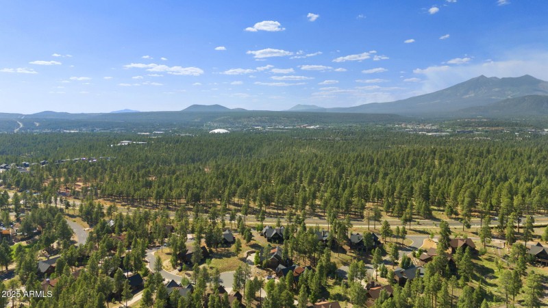 3-web-or-mls-DJI_20250611160331_0955_D