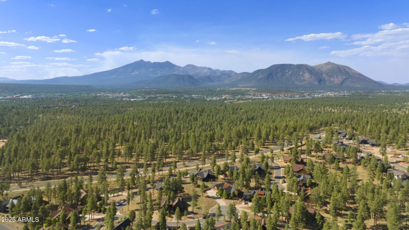 4-web-or-mls-DJI_20250611160407_0960_D