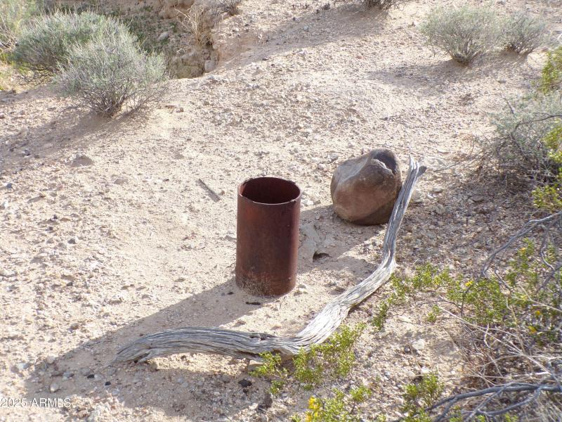 in the middle of the property