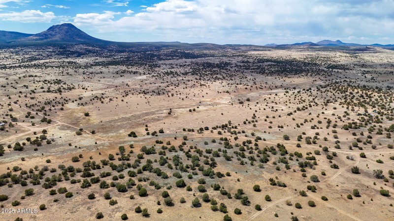 dji_fly_20250530_142834_0030_17487149991