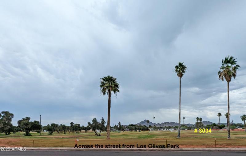 Los Olivos Park