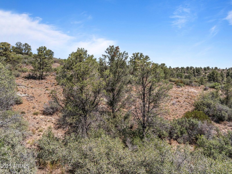 19-web-or-mls-DJI_20250607164347_0052_D