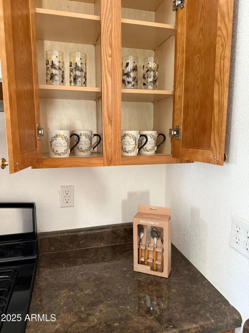 WhatsApp Image 2025-06-17 at 2.46.55 PM