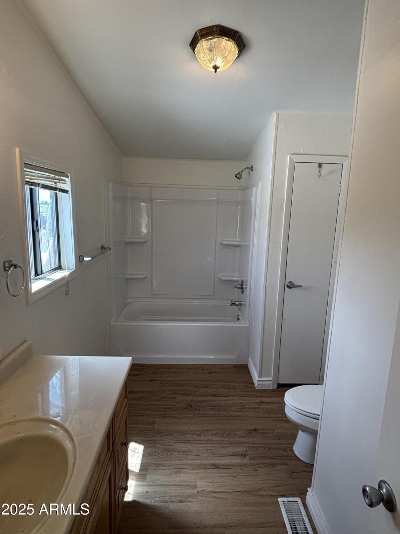 22875 Cactus Wren 2-3