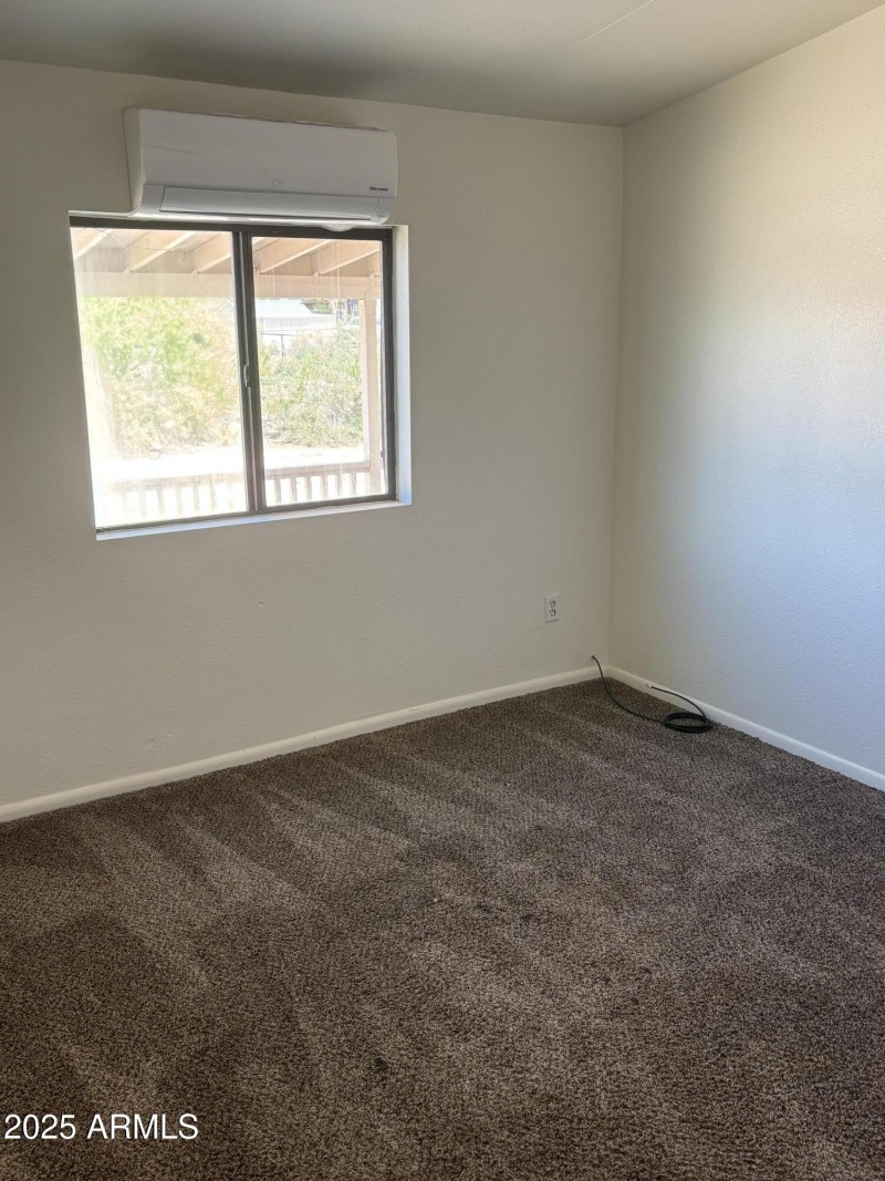 22875 Cactus Wren 2-6