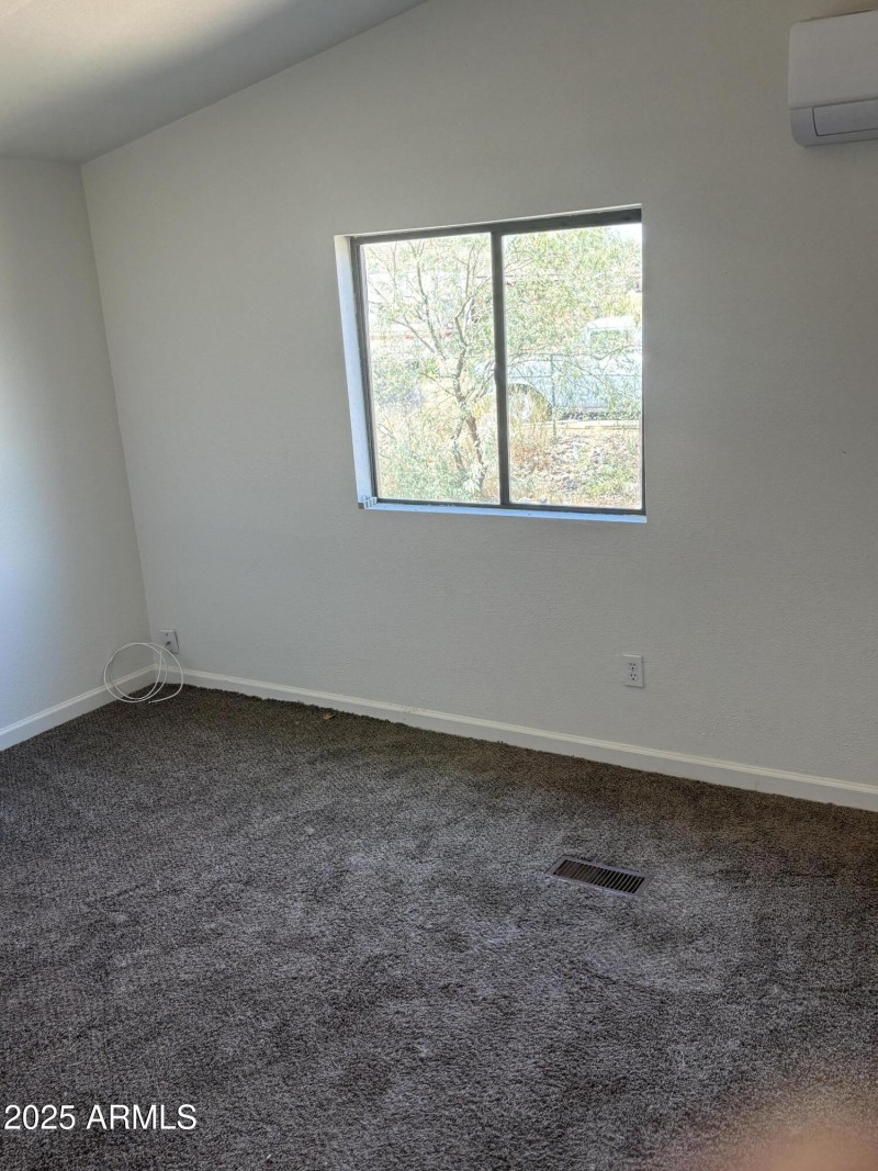 22875 Cactus Wren 2-5