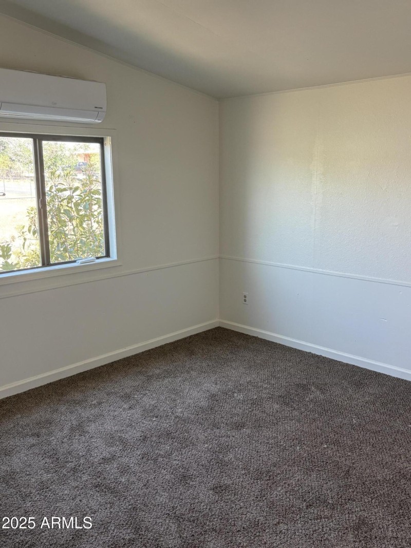 22875 Cactus Wren 2-10