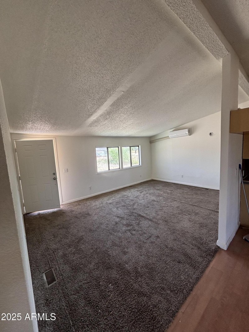 22875 Cactus Wren 2-8