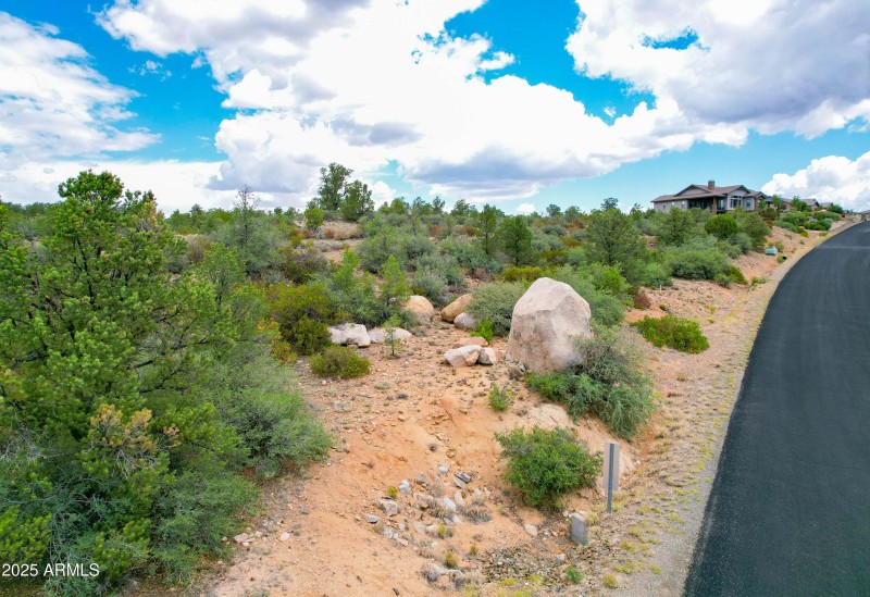 Terrain at front curb
