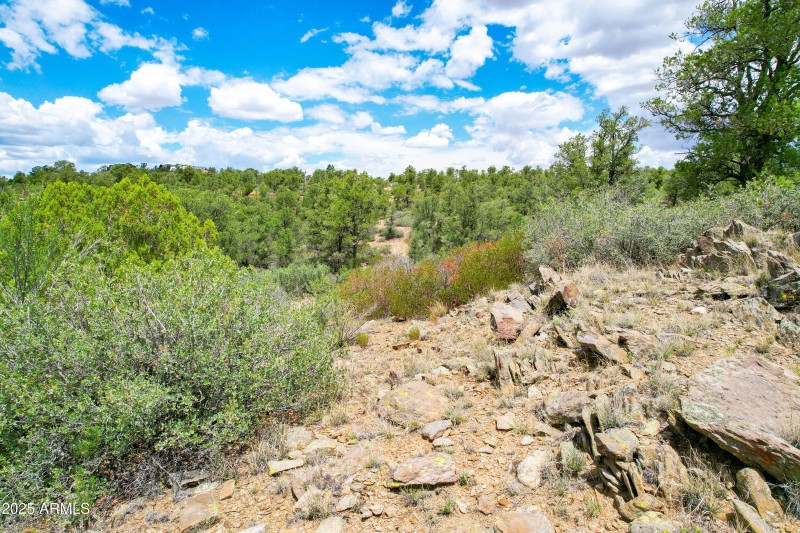 Terrain looking North