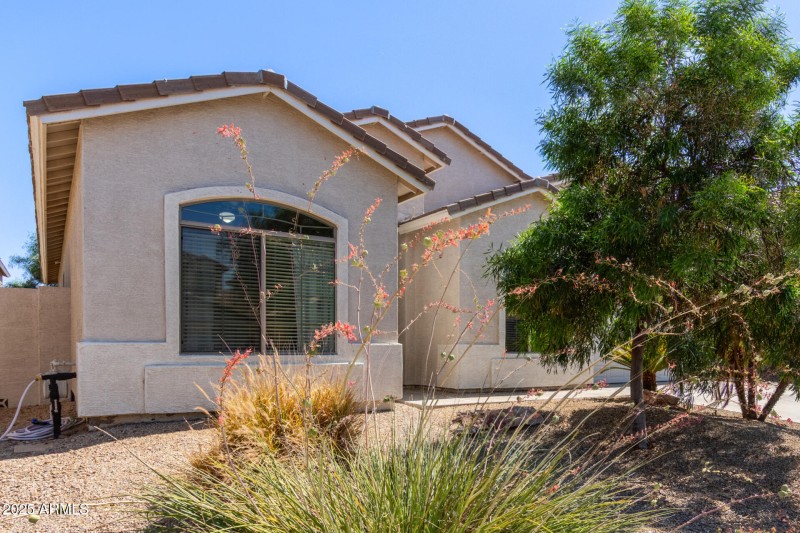 Beautiful Single Level Home