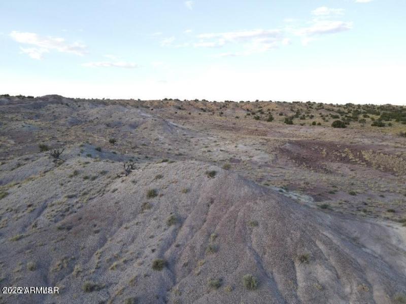 20250130125524471877000000-o