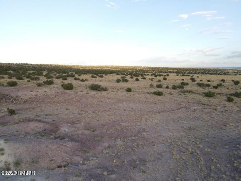 20250130125522494588000000-o