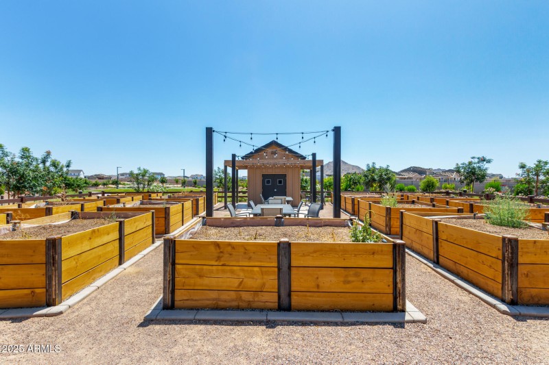 Even community gardens!